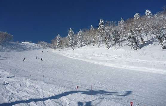 日本北海道-富良野雪山花园酒店