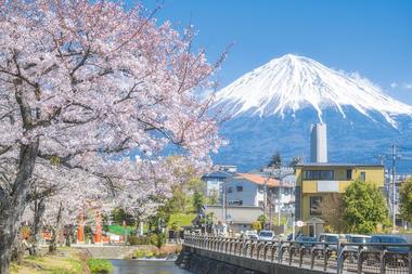 日本富士宫市-「壹栋」富士山景观法式独栋别墅