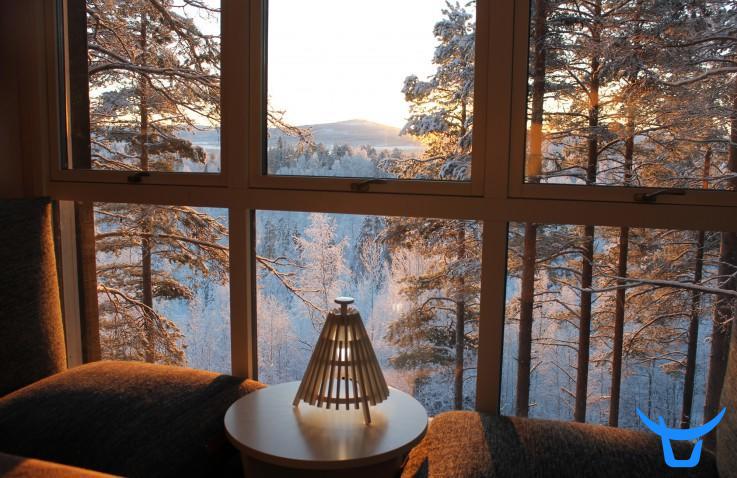 瑞典-北欧设计师树屋酒店整体出售