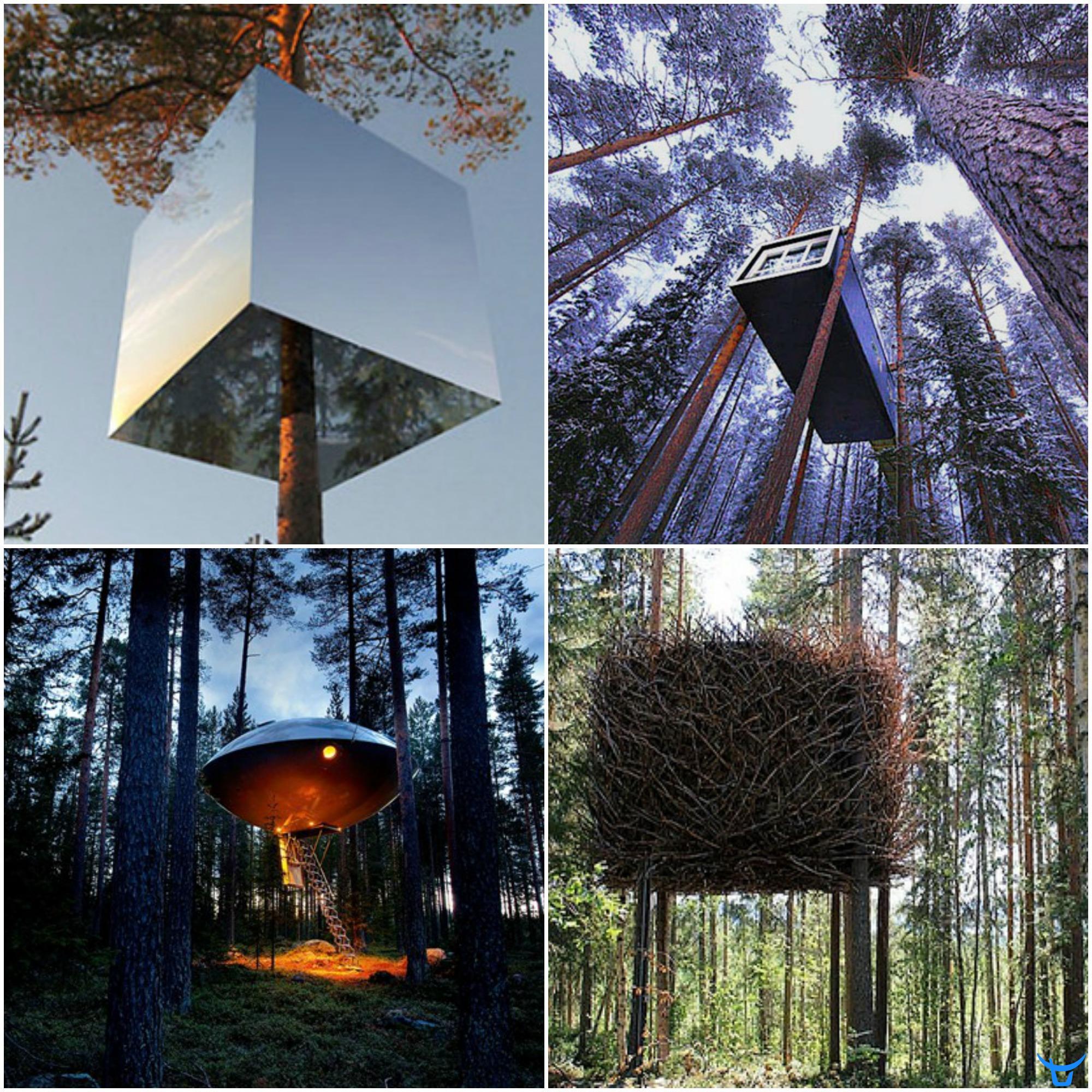 瑞典-北欧设计师树屋酒店整体出售