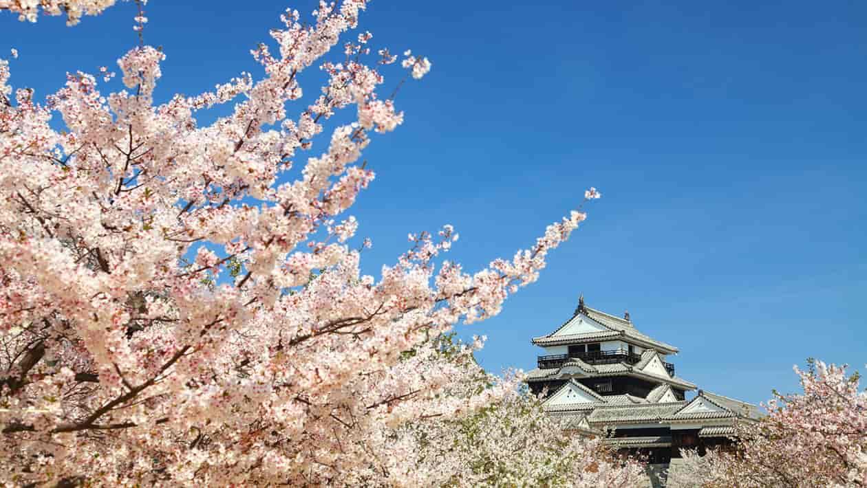 日本松山市-松山の旅馆