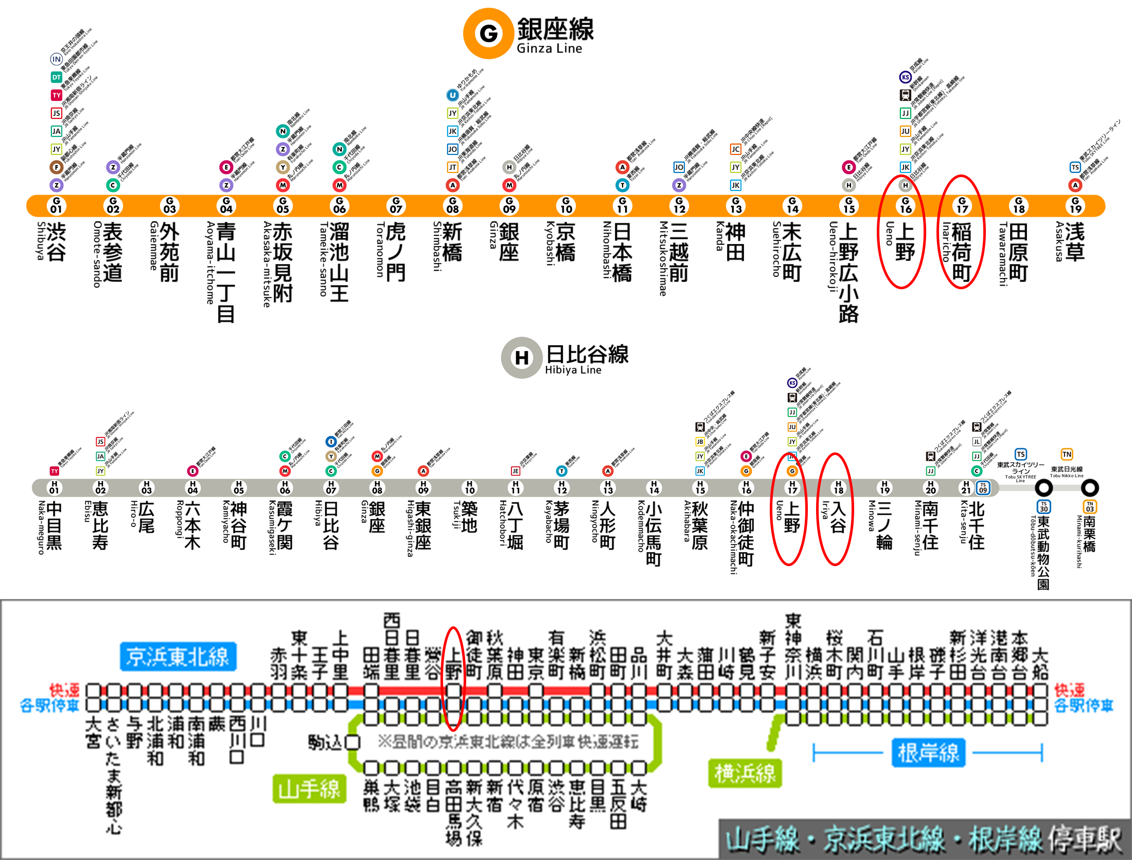 日本东京-台东区上野公寓 山手线沿线，地铁站400米