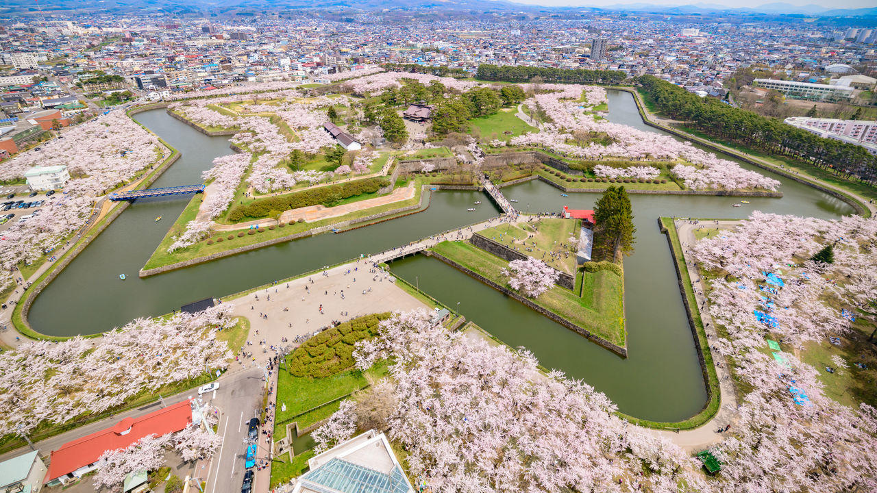 日本函馆市-「优小房·NO.171」スカイコート函館