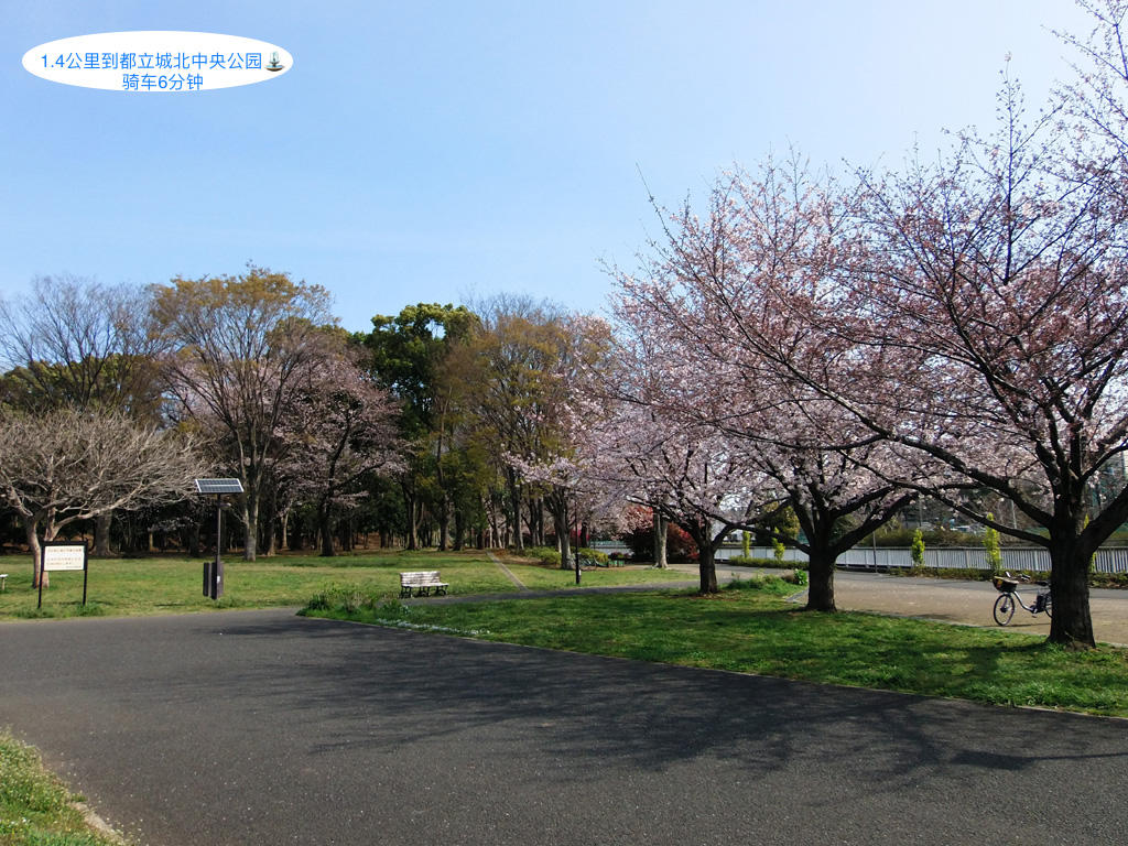 日本东京-「东京投资公寓」トップ平和台