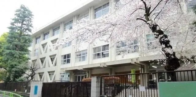 想带孩子去东京上学 东京公立幼儿园 小学top10名单来啦 移民资讯 有绿卡