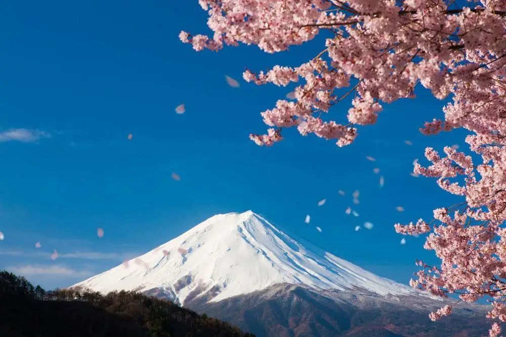 快讯 疫情后海外旅行目的地心愿指数发布 泰国第1 日本第2 移民资讯 有绿卡